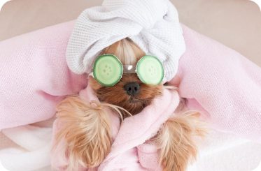img-postgrid3